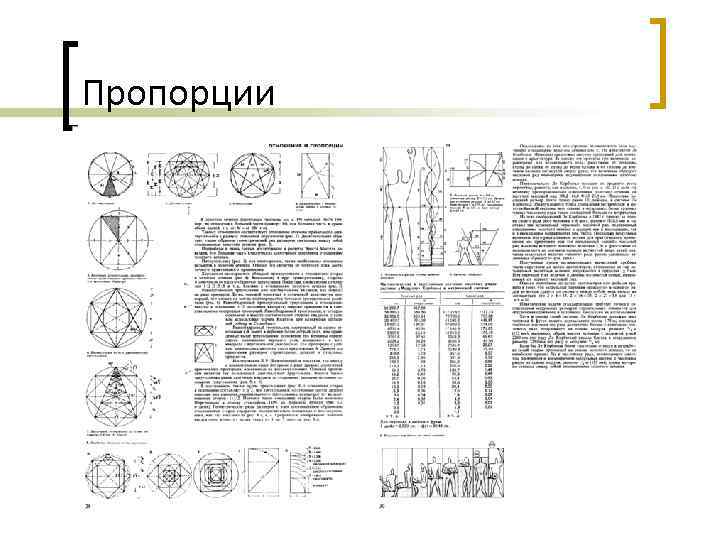 Пропорции 