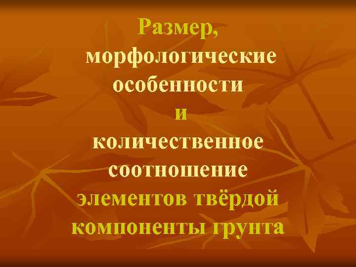 Размер, морфологические особенности и количественное соотношение элементов твёрдой компоненты грунта 