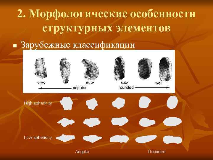 2. Морфологические особенности структурных элементов n Зарубежные классификации 
