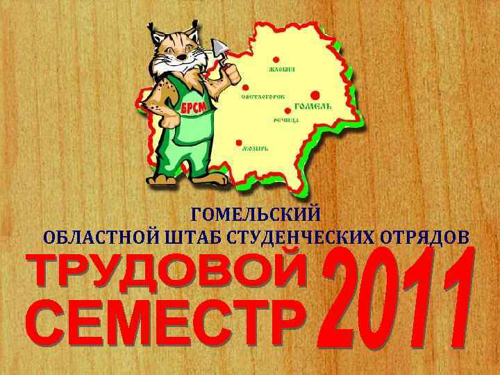 ГОМЕЛЬСКИЙ ОБЛАСТНОЙ ШТАБ СТУДЕНЧЕСКИХ ОТРЯДОВ 