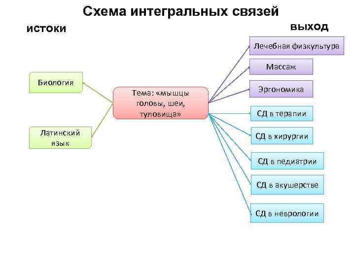 Схема интегральных связей выход истоки Лечебная физкультура Массаж Биология Латинский язык Тема: «мышцы головы,