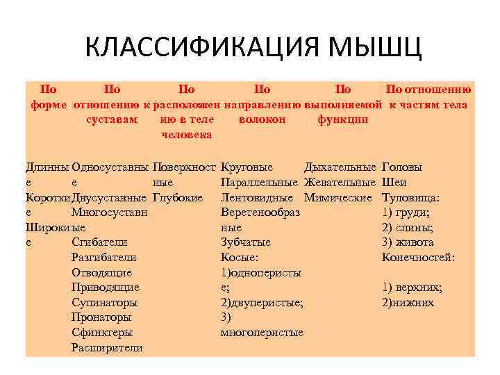 КЛАССИФИКАЦИЯ МЫШЦ По По По отношению форме отношению к расположен направлению выполняемой к частям