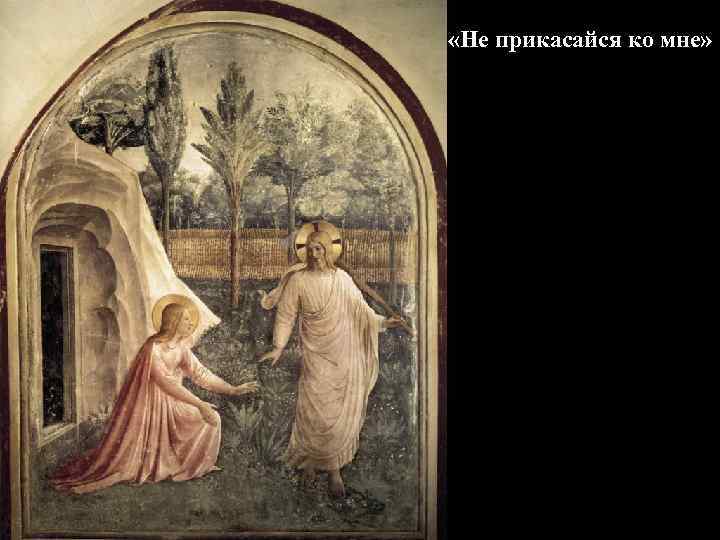  «Не прикасайся ко мне» 