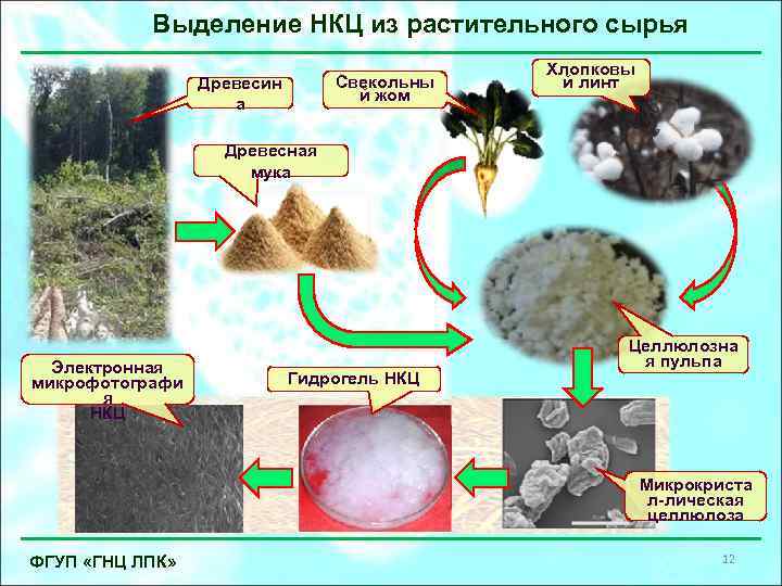 Выделение НКЦ из растительного сырья Свекольны й жом Древесин а Хлопковы й линт Древесная