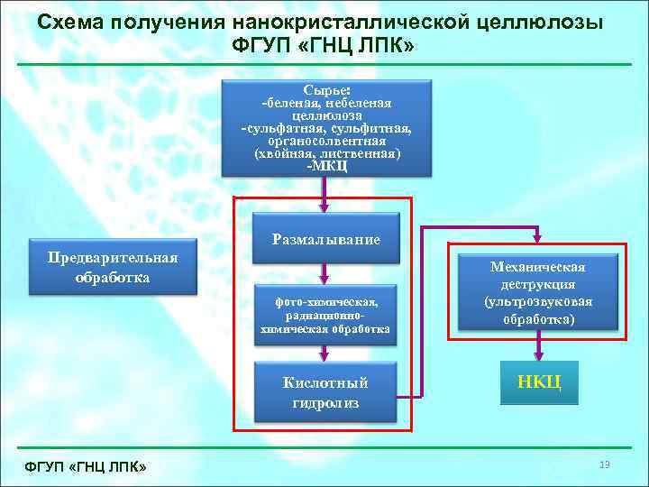 Схема получения нанокристаллической целлюлозы ФГУП «ГНЦ ЛПК» Сырье: -беленая, небеленая целлюлоза -сульфатная, сульфитная, органосолвентная