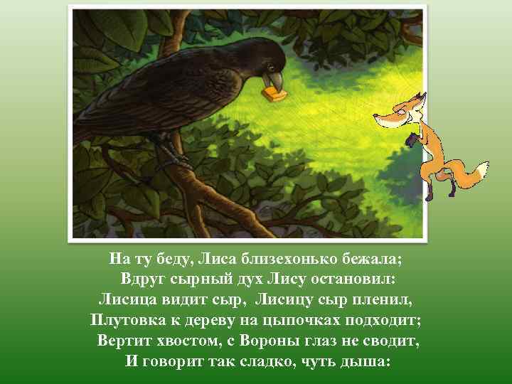 На ту беду, Лиса близехонько бежала; Вдруг сырный дух Лису остановил: Лисица видит сыр,