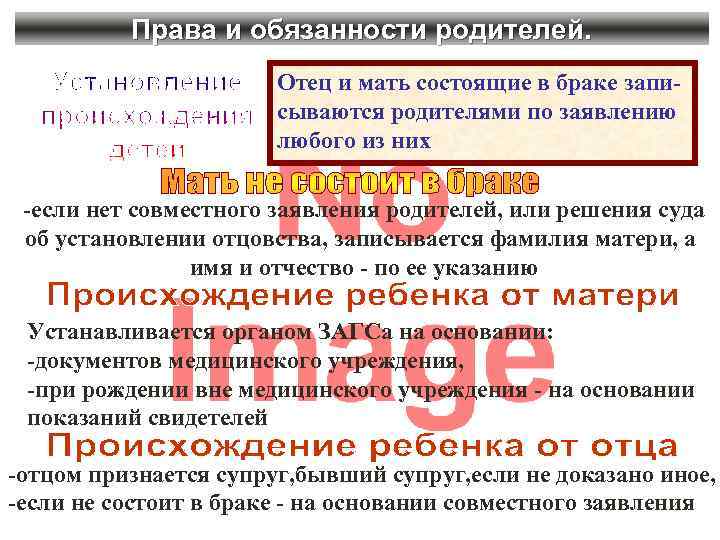 Права и обязанности родителей. Отец и мать состоящие в браке записываются родителями по заявлению