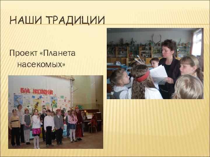 НАШИ ТРАДИЦИИ Проект «Планета насекомых» 