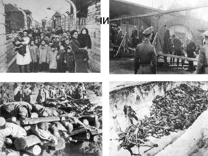 Они могли бы жить 