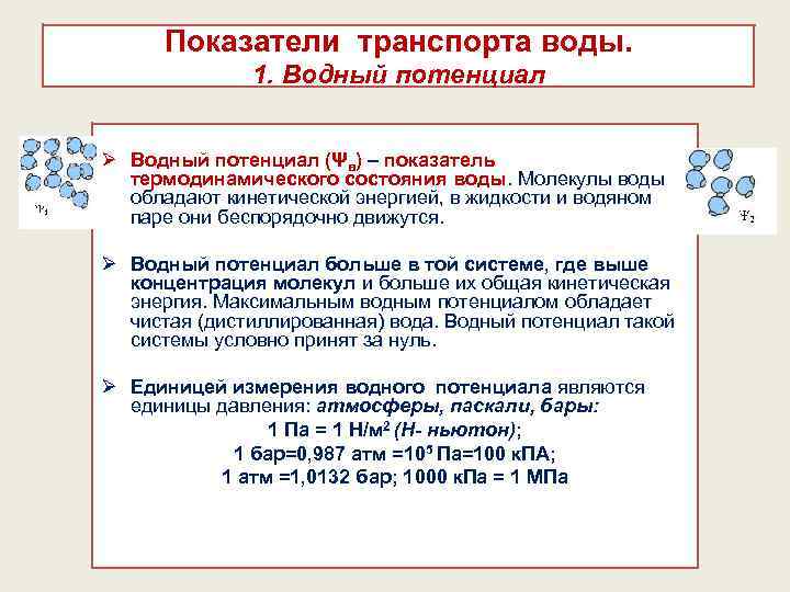 Показатели транспорта воды. 1. Водный потенциал Ø Водный потенциал (Ψв) – показатель термодинамического состояния