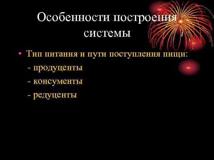 Особенности построения системы • Тип питания и пути поступления пищи: - продуценты - консументы