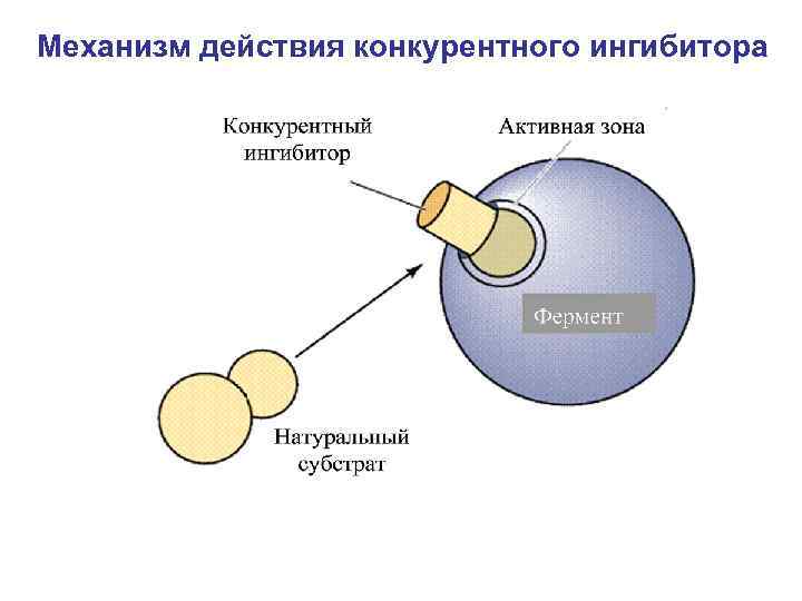 Механизм действия конкурентного ингибитора 