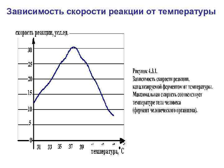 Зависимость скорости реакции от температуры 