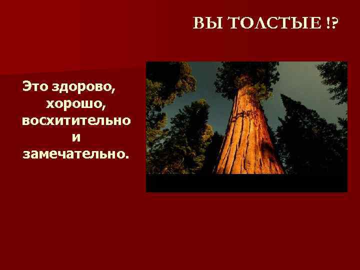 ВЫ ТОЛСТЫЕ !? Это здорово, хорошо, восхитительно и замечательно. 