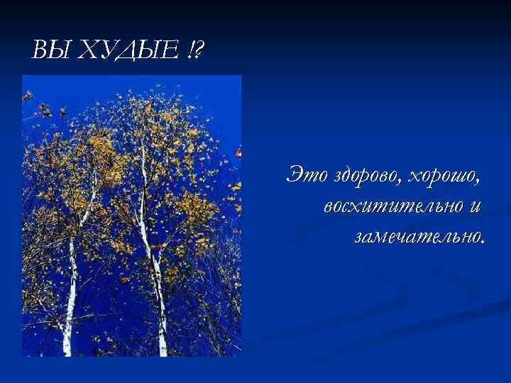ВЫ ХУДЫЕ !? Это здорово, хорошо, восхитительно и замечательно. 