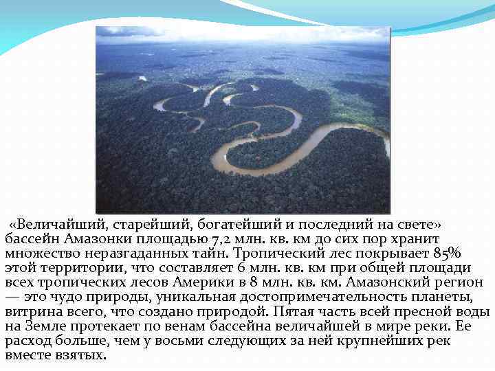 Положение реки амазонка относительно других природных объектов