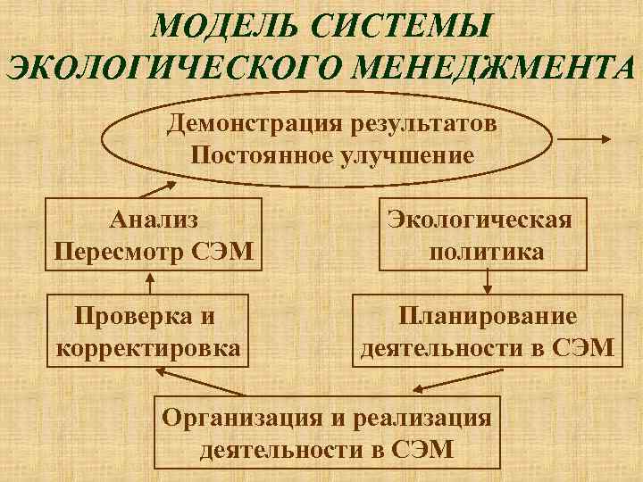 Моделирование экологической системы. Модель экологического менеджмента. Экологический менеджмент на предприятии. Сэм система экологического менеджмента. Экологическое моделирование.