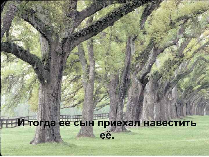 И тогда ее сын приехал навестить её. 