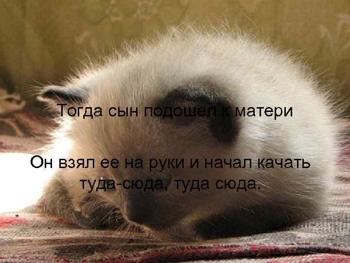 Тогда сын подошел к матери Он взял ее на руки и начал качать туда-сюда,