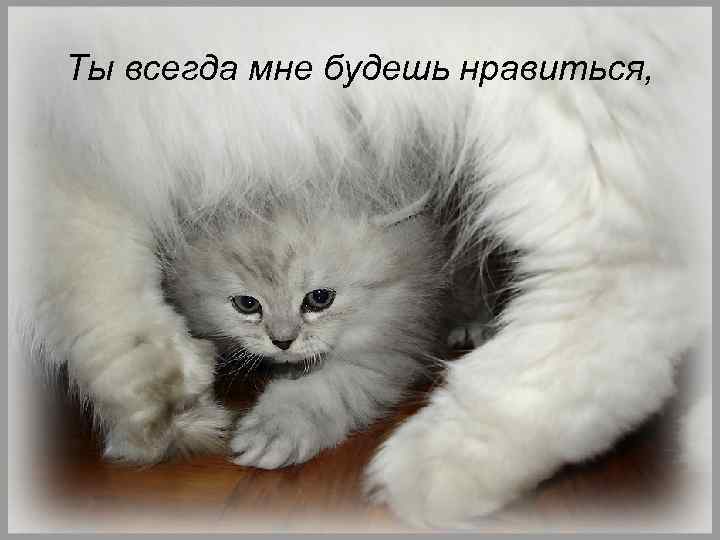 Ты всегда мне будешь нравиться, 