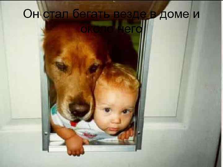 Он стал бегать везде в доме и около него 