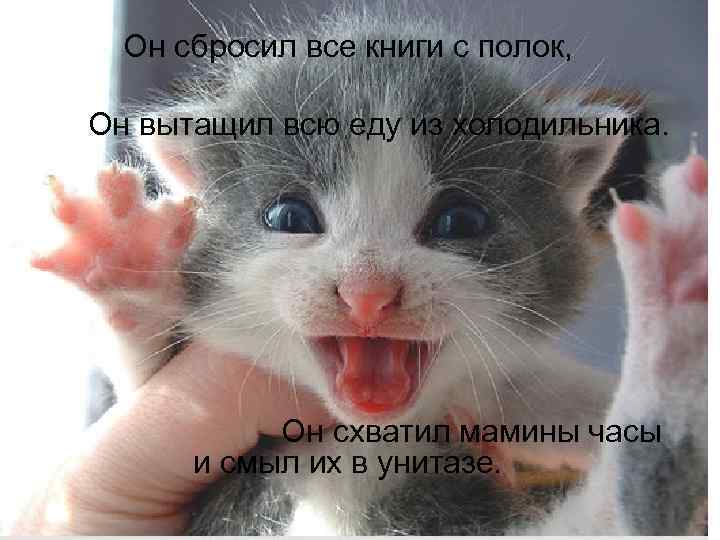 Он сбросил все книги с полок, Он вытащил всю еду из холодильника. Он схватил