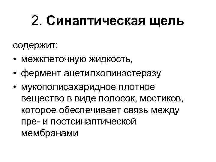 2. Синаптическая щель содержит: • межклеточную жидкость, • фермент ацетилхолинэстеразу • мукополисахаридное плотное вещество