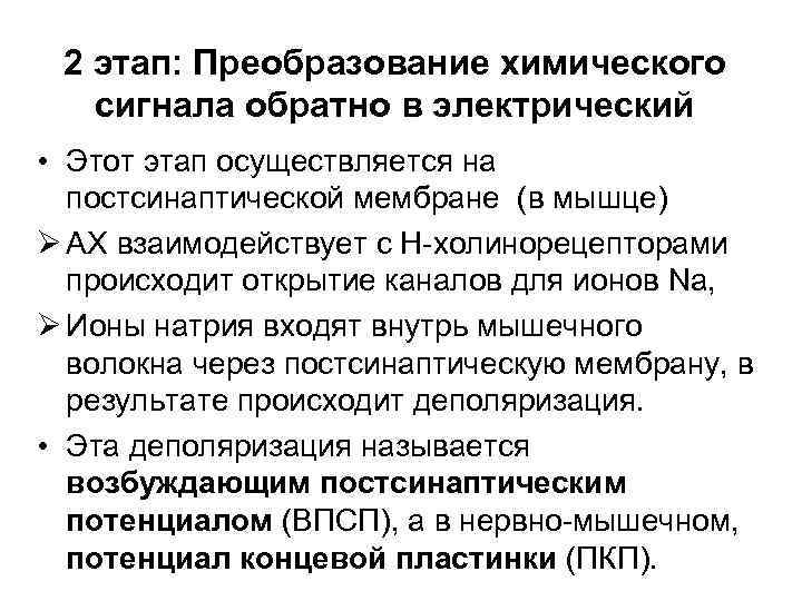 2 этап: Преобразование химического сигнала обратно в электрический • Этот этап осуществляется на постсинаптической