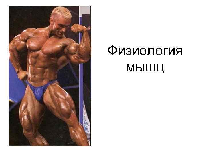 Физиология мышц 