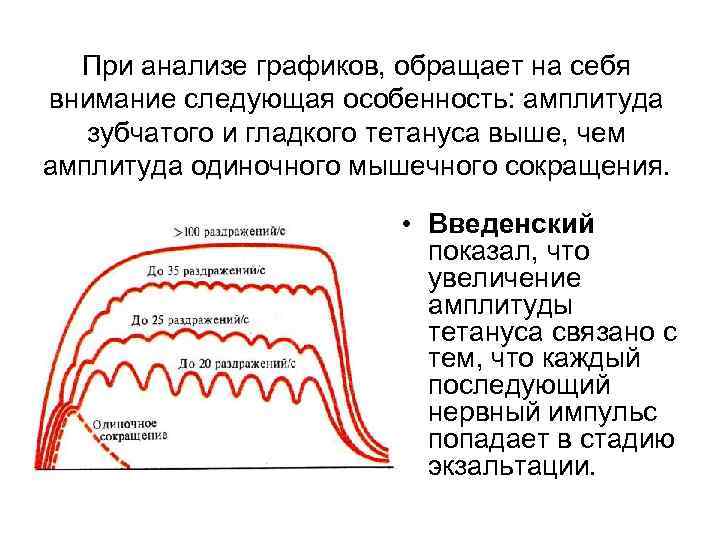 При анализе графиков, обращает на себя внимание следующая особенность: амплитуда зубчатого и гладкого тетануса