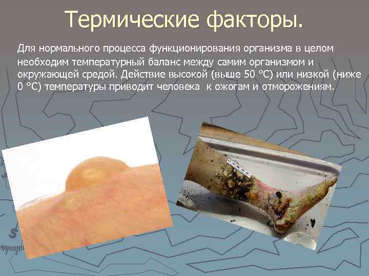 Термические факторы. Для нормального процесса функционирования организма в целом необходим температурный баланс между самим