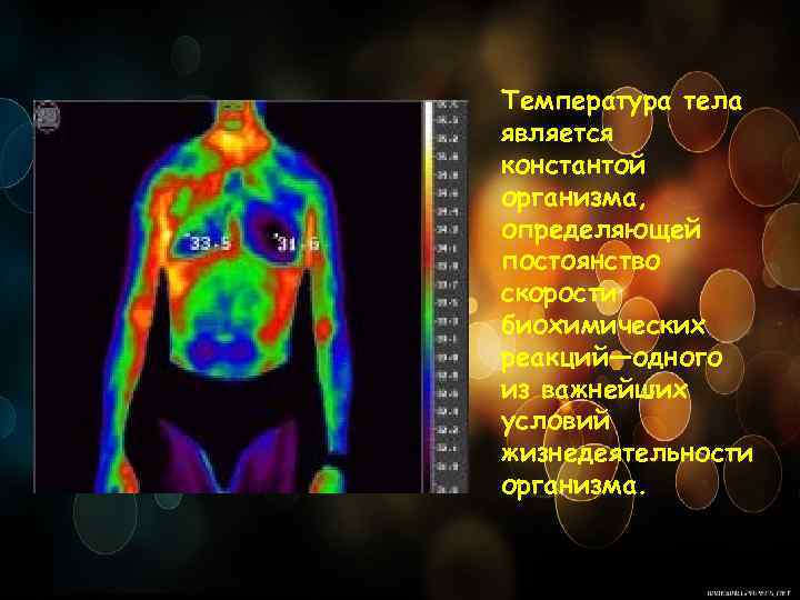 Температура тела является константой организма, определяющей постоянство скорости биохимических реакций—одного из важнейших условий жизнедеятельности