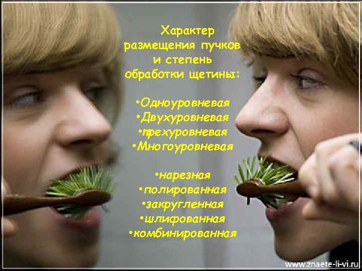 Характер размещения пучков и степень обработки щетины: • Одноуровневая • Двухуровневая • трехуровневая •