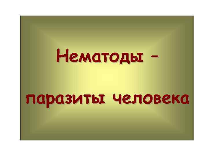 Нематоды – паразиты человека 