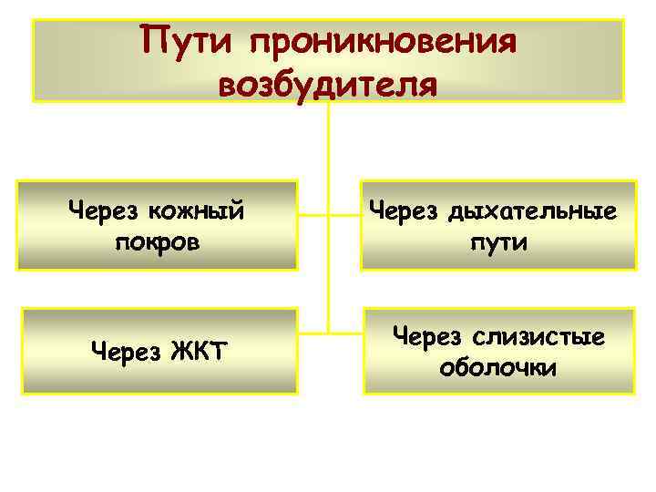 Пути проникновения возбудителя Через кожный покров Через дыхательные пути Через ЖКТ Через слизистые оболочки