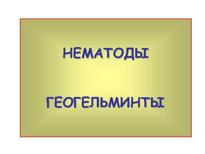 НЕМАТОДЫ ГЕОГЕЛЬМИНТЫ 