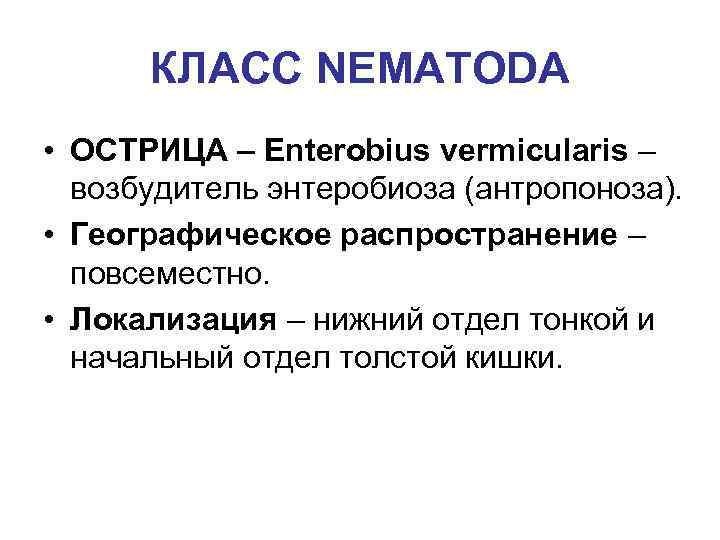 КЛАСС NEMATODA • ОСТРИЦА – Enterobius vermicularis – возбудитель энтеробиоза (антропоноза). • Географическое распространение