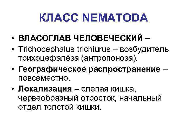 КЛАСС NEMATODA • ВЛАСОГЛАВ ЧЕЛОВЕЧЕСКИЙ – • Trichocephalus trichiurus – возбудитель трихоцефалёза (антропоноза). •