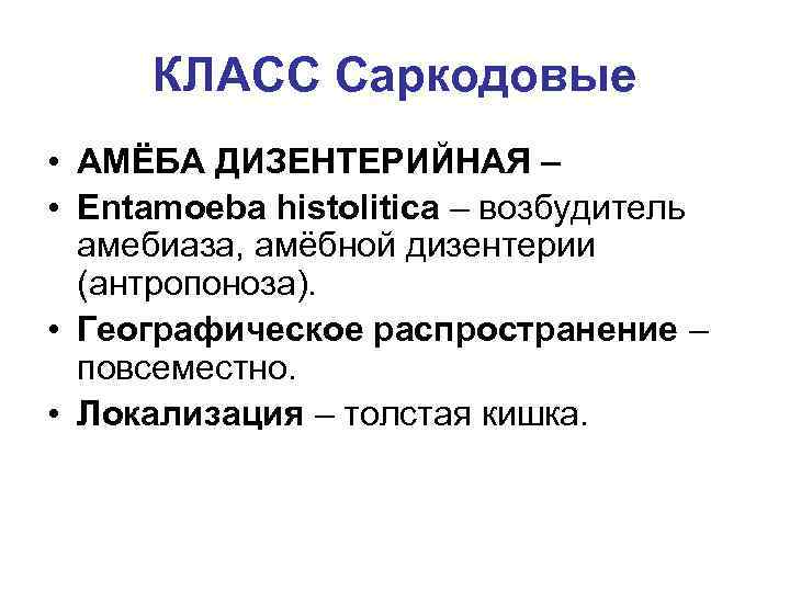 КЛАСС Саркодовые • АМЁБА ДИЗЕНТЕРИЙНАЯ – • Entamoeba histolitica – возбудитель амебиаза, амёбной дизентерии