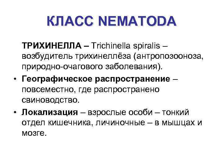 КЛАСС NEMATODA ТРИХИНЕЛЛА – Trichinella spiralis – возбудитель трихинеллёза (антропозооноза, природно-очагового заболевания). • Географическое