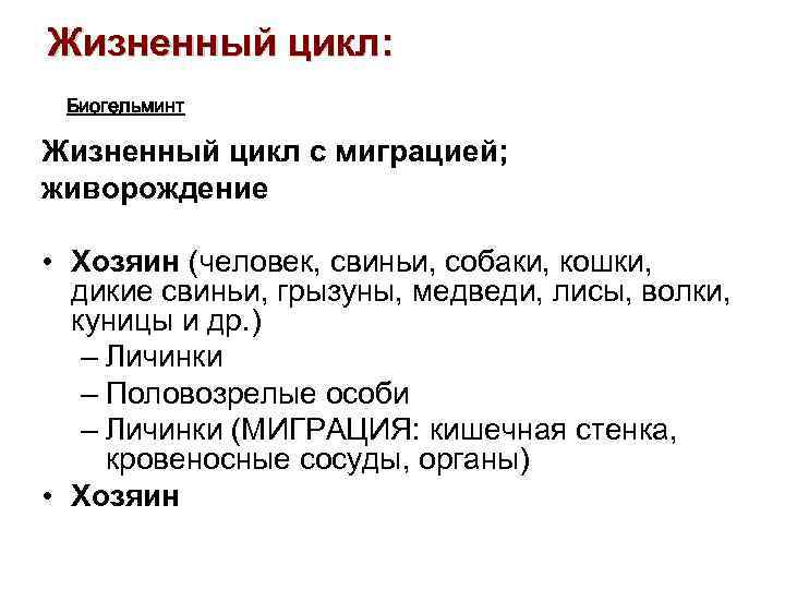 Жизненный цикл: Биогельминт Жизненный цикл с миграцией; живорождение • Хозяин (человек, свиньи, собаки, кошки,