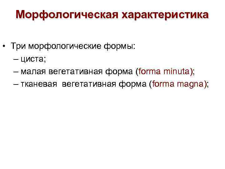 Морфологическая характеристика • Три морфологические формы: – циста; – малая вегетативная форма (forma minuta);