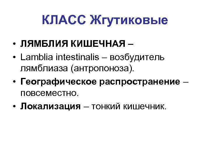 КЛАСС Жгутиковые • ЛЯМБЛИЯ КИШЕЧНАЯ – • Lamblia intestinalis – возбудитель лямблиаза (антропоноза). •