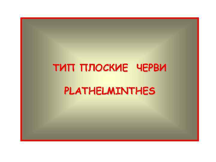 ТИП ПЛОСКИЕ ЧЕРВИ PLATHELMINTHES 