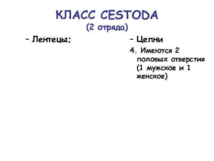КЛАСС CESTODA (2 отряда) – Лентецы; – Цепни 4. Имеются 2 половых отверстия (1