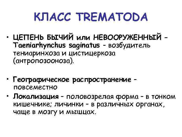 КЛАСС TREMATODA • ЦЕПЕНЬ БЫЧИЙ или НЕВООРУЖЕННЫЙ – Taeniarhynchus saginatus – возбудитель тениаринхоза и