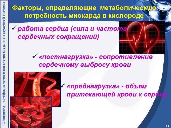 Физиология, патофизиология и патология сердечно-сосудистой системы Факторы, определяющие метаболическую потребность миокарда в кислороде ü