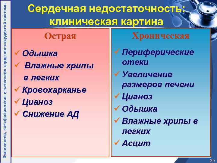 Физиология, патофизиология и патология сердечно-сосудистой системы Сердечная недостаточность: клиническая картина Острая ü Одышка ü