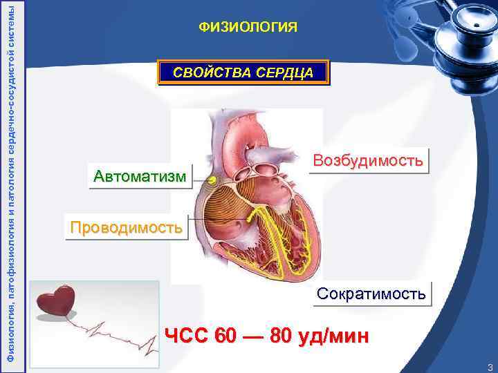 Физиология, патофизиология и патология сердечно-сосудистой системы ФИЗИОЛОГИЯ СВОЙСТВА СЕРДЦА Автоматизм Возбудимость Проводимость Сократимость ЧСС