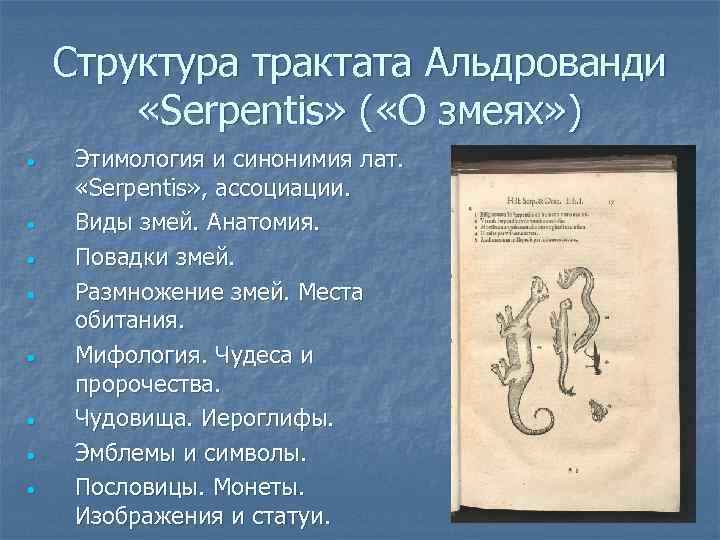 Структура трактата Альдрованди «Serpentis» ( «О змеях» ) • • Этимология и синонимия лат.